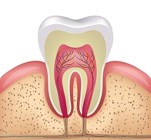 Root Canal Therapy in Moorpark, CA